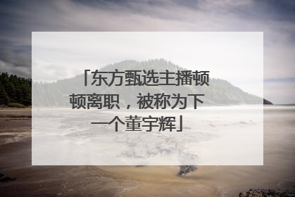 东方甄选主播顿顿离职，被称为下一个董宇辉