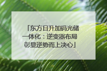 东方日升加码光储一体化：逆变器布局彰显逆势而上决心