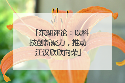 东湖评论：以科技创新聚力，推动江汉欣欣向荣
