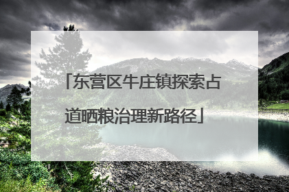 东营区牛庄镇探索占道晒粮治理新路径