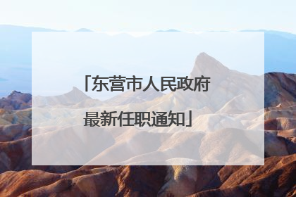 东营市人民政府最新任职通知