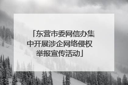 东营市委网信办集中开展涉企网络侵权举报宣传活动