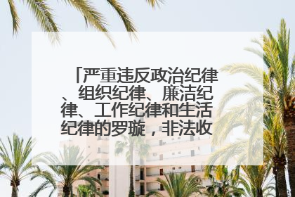 严重违反政治纪律、组织纪律、廉洁纪律、工作纪律和生活纪律的罗璇，非法收受他人巨额财物