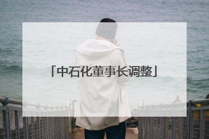 中石化董事长调整