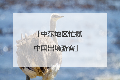 中东地区忙揽中国出境游客