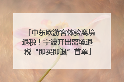 中东欧游客体验离境退税！宁波开出离境退税“即买即退”首单