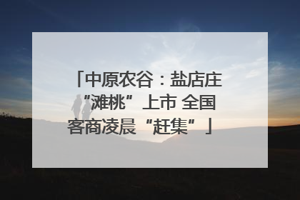 中原农谷：盐店庄“滩桃”上市 全国客商凌晨“赶集”