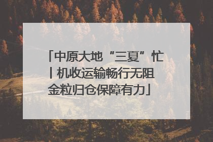 中原大地“三夏”忙丨机收运输畅行无阻 金粒归仓保障有力