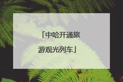 中哈开通旅游观光列车