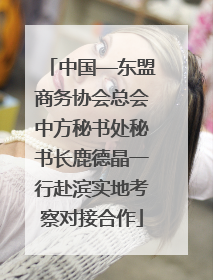 中国—东盟商务协会总会中方秘书处秘书长鹿德晶一行赴滨实地考察对接合作