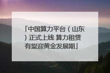 中国算力平台（山东）正式上线 算力租赁有望迎黄金发展期
