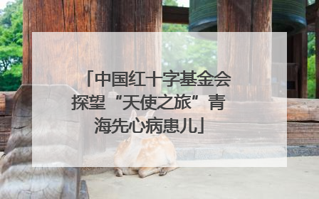 中国红十字基金会探望“天使之旅”青海先心病患儿