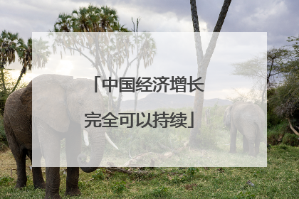 中国经济增长完全可以持续