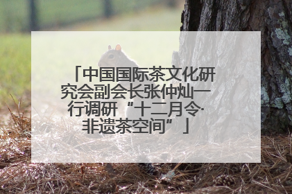 中国国际茶文化研究会副会长张仲灿一行调研“十二月令·非遗茶空间”