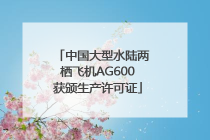 中国大型水陆两栖飞机AG600获颁生产许可证