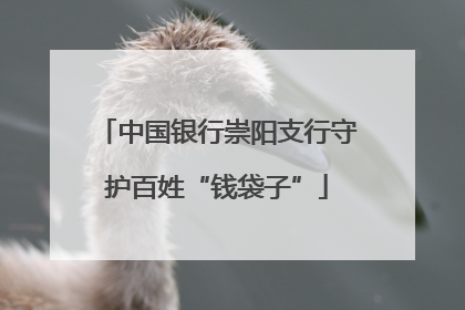 中国银行崇阳支行守护百姓“钱袋子”