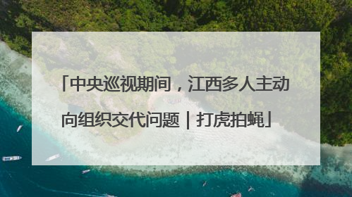中央巡视期间，江西多人主动向组织交代问题｜打虎拍蝇