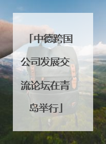 中德跨国公司发展交流论坛在青岛举行