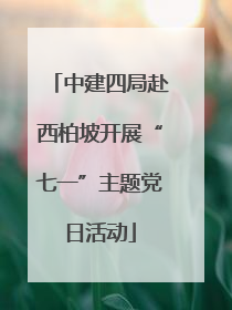 中建四局赴西柏坡开展“七一”主题党日活动