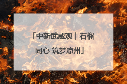 中新武威观｜石榴同心 筑梦凉州