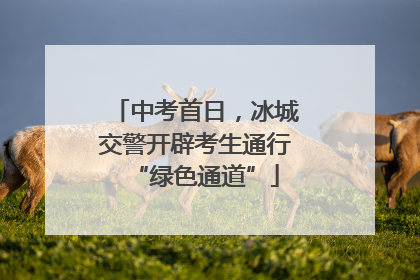中考首日，冰城交警开辟考生通行“绿色通道”