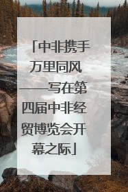 中非携手 万里同风——写在第四届中非经贸博览会开幕之际