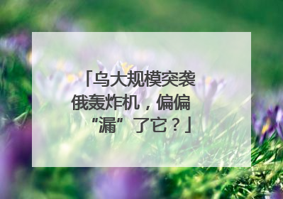 乌大规模突袭俄轰炸机，偏偏“漏”了它？