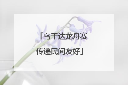 乌干达龙舟赛传递民间友好