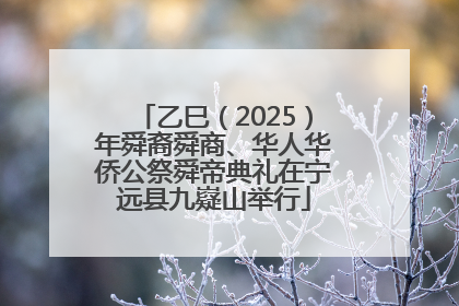乙巳（2025）年舜裔舜商、华人华侨公祭舜帝典礼在宁远县九嶷山举行