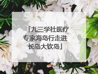 九三学社医疗专家海岛行走进长岛大钦岛