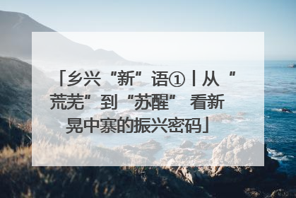 乡兴“新”语①丨从“荒芜”到“苏醒” 看新晃中寨的振兴密码