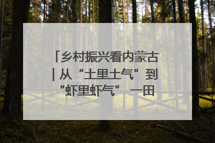 乡村振兴看内蒙古｜从“土里土气”到“虾里虾气” 一田双收模式火出圈