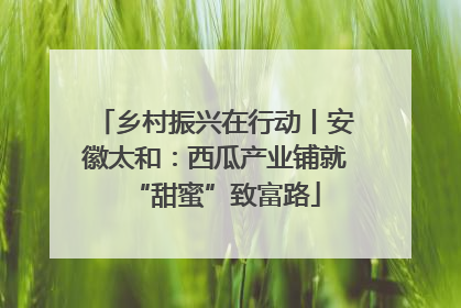 乡村振兴在行动丨安徽太和：西瓜产业铺就“甜蜜”致富路