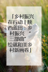 乡村振兴在行动丨陕西蓝田：乡村振兴 “三部曲” 绘就和美乡村新画卷