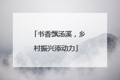 书香飘汤溪，乡村振兴添动力