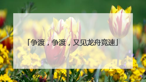 争渡，争渡，又见龙舟竞速