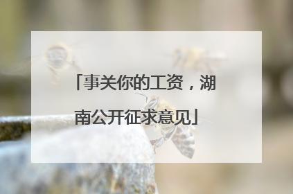 事关你的工资，湖南公开征求意见