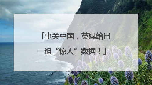 事关中国，英媒给出一组“惊人”数据！