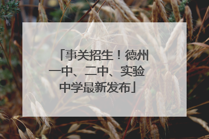 事关招生！德州一中、二中、实验中学最新发布
