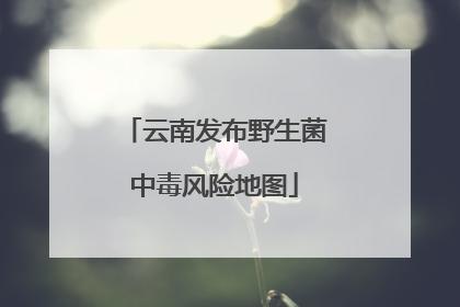 云南发布野生菌中毒风险地图