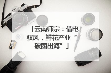 云南师宗：借电驭风，鲜花产业“破圈出海”