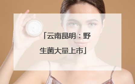 云南昆明：野生菌大量上市