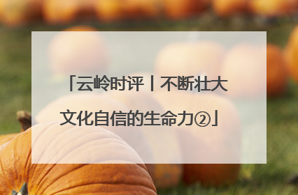 云岭时评丨不断壮大文化自信的生命力②