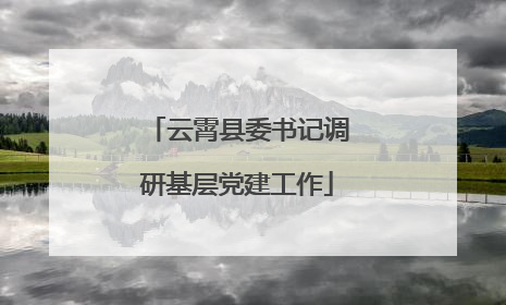 云霄县委书记调研基层党建工作