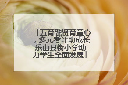 五育融贤育童心，多元考评助成长 乐山县街小学助力学生全面发展