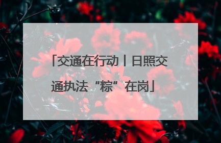 交通在行动丨日照交通执法“粽”在岗