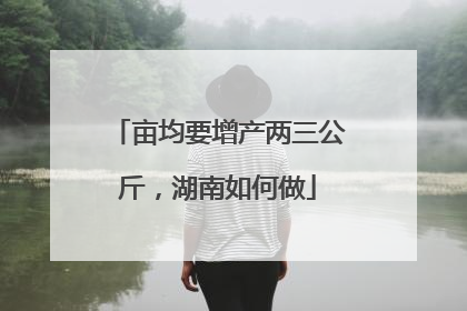 亩均要增产两三公斤，湖南如何做