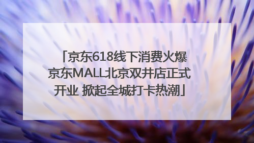 京东618线下消费火爆 京东MALL北京双井店正式开业 掀起全城打卡热潮