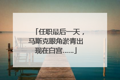 任职最后一天，马斯克眼角淤青出现在白宫……