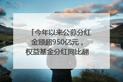 今年以来公募分红金额超950亿元，权益基金分红同比翻倍｜招财猫